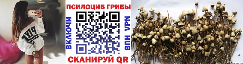Галлюциногенные грибы мухоморы  shop как зайти  Котово 